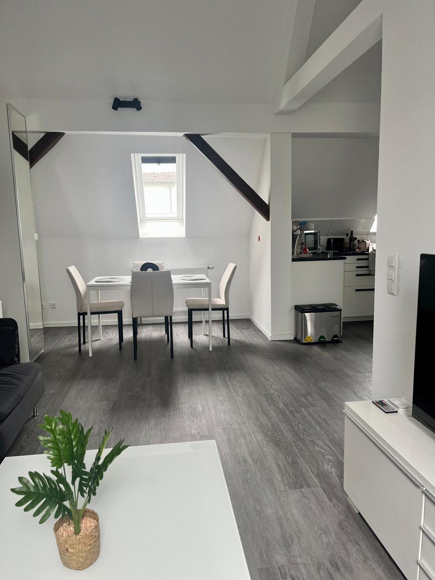 Rk-Lounge,2- Zimmer Wohnung - Modern Und Stylisch Baden-Baden Exterior foto